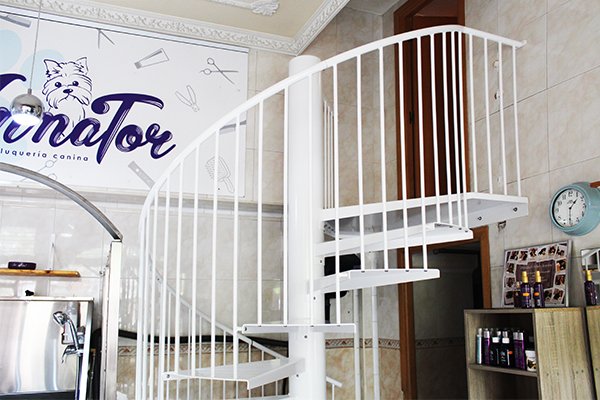 anna_tor_peluqueria_canina_y_de_gatos_en_amara_san_sebastian_donostia.jpg