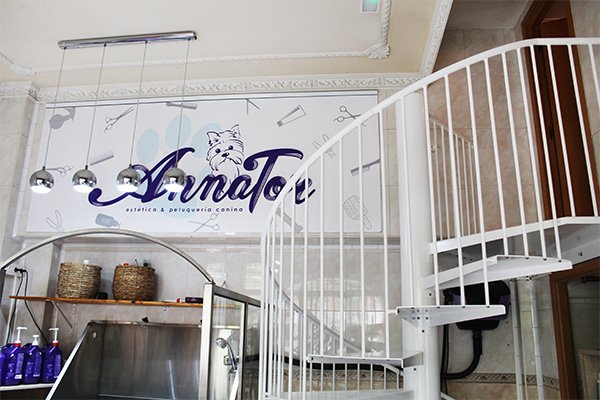 anna_tor_peluqueria_de_gatos_y_perros_en_amara_donostia_san_sebastian.jpg